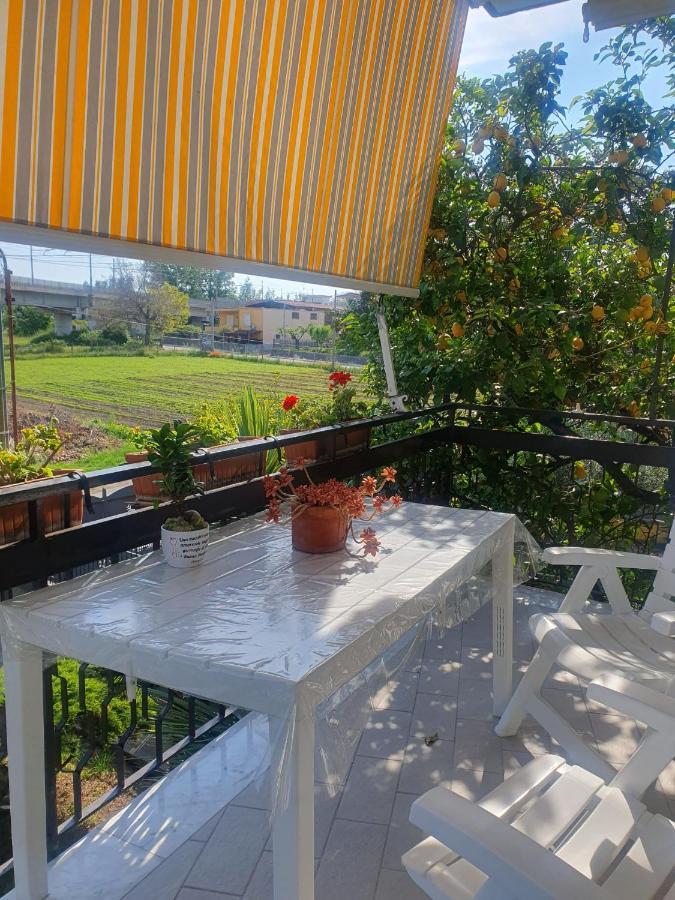 Ospitalita Il Noce Bed & Breakfast Brusciano Dış mekan fotoğraf