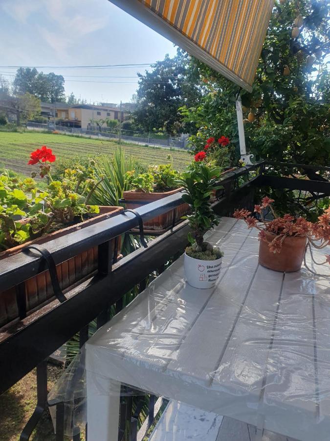 Ospitalita Il Noce Bed & Breakfast Brusciano Dış mekan fotoğraf